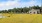 a field with a pond and a building