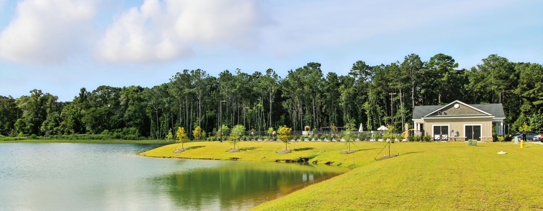 a pond near a building and trees