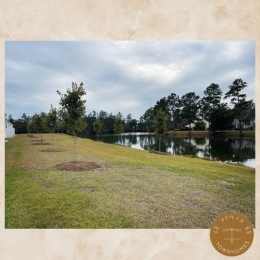 Could you imagine waking up to this view? 
Waking up to this view on a nice Saturday morning with a cup of ☕️ and good 📖 sounds like a winner to me! 🥇

🗣️&rdquo;Alexa, play We are the Champions.&rdquo;